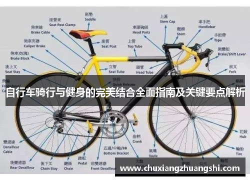 自行车骑行与健身的完美结合全面指南及关键要点解析