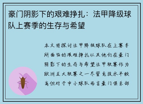 豪门阴影下的艰难挣扎：法甲降级球队上赛季的生存与希望